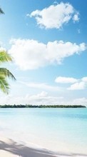 Landschaft,Sea,Strand,Palms für LG Pop GD510