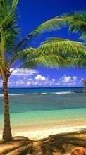 Lade kostenlos Hintergrundbilder Palms,Landschaft,Sea,Strand für Handy oder Tablet herunter.