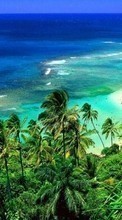 Lade kostenlos Hintergrundbilder Sea,Palms,Landschaft,Strand für Handy oder Tablet herunter.