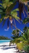 Lade kostenlos 240x320 Hintergrundbilder Landschaft,Sea,Strand,Palms für Handy oder Tablet herunter.