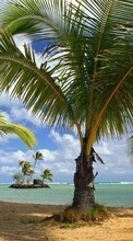 Lade kostenlos Hintergrundbilder Sea,Palms,Landschaft,Strand,Natur für Handy oder Tablet herunter.