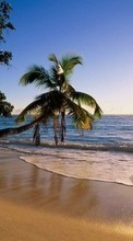Lade kostenlos 1280x800 Hintergrundbilder Landschaft,Wasser,Sunset,Sea,Sun,Strand,Palms für Handy oder Tablet herunter.