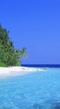 Landschaft,Wasser,Sea,Strand,Palms für Samsung Galaxy Star 2