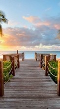 Lade kostenlos Hintergrundbilder Landschaft,Sunset,Sea,Strand,Palms für Handy oder Tablet herunter.