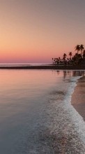 Lade kostenlos Hintergrundbilder Landschaft,Sunset,Sea,Strand,Palms für Handy oder Tablet herunter.