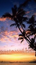 Lade kostenlos Hintergrundbilder Sea,Palms,Landschaft,Sunset für Handy oder Tablet herunter.