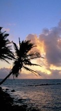Lade kostenlos Hintergrundbilder Sea,Palms,Landschaft,Sunset für Handy oder Tablet herunter.