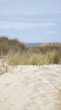 Lade kostenlos Hintergrundbilder Landschaft,Grass,Sea,Sand für Handy oder Tablet herunter.