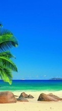 Landschaft,Sea,Strand,Palms für HTC One XL