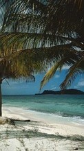 Sea,Landschaft,Strand,Natur für Sony Ericsson W302