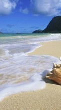 Lade kostenlos Hintergrundbilder Sea,Strand,Shells,Landschaft für Handy oder Tablet herunter.