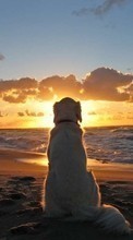 Lade kostenlos Hintergrundbilder Hunde,Sea,Sun,Strand,Tiere,Landschaft für Handy oder Tablet herunter.