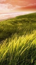 Lade kostenlos Hintergrundbilder Sea,Landschaft,Grass für Handy oder Tablet herunter.