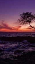 Lade kostenlos Hintergrundbilder Landschaft,Sunset,Sea für Handy oder Tablet herunter.