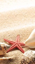 Lade kostenlos Hintergrundbilder Hintergrund,Objekte,Sand,Shells,Starfish für Handy oder Tablet herunter.
