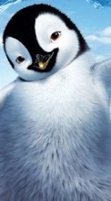 Lade kostenlos Hintergrundbilder Cartoon,Pinguins für Handy oder Tablet herunter.