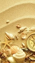 Lade kostenlos Hintergrundbilder Hintergrund,Sand,Shells,Still-Leben für Handy oder Tablet herunter.