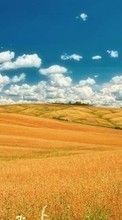 Lade kostenlos Hintergrundbilder Landschaft,Felder,Sky,Clouds für Handy oder Tablet herunter.