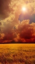 Lade kostenlos Hintergrundbilder Landschaft,Felder,Sky,Sun,Clouds für Handy oder Tablet herunter.