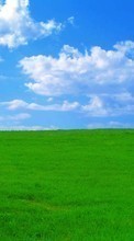 Lade kostenlos 800x480 Hintergrundbilder Landschaft,Grass,Sky,Clouds für Handy oder Tablet herunter.