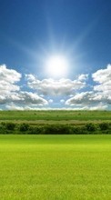 Lade kostenlos Hintergrundbilder Landschaft,Grass,Sky,Clouds für Handy oder Tablet herunter.