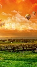 Lade kostenlos Hintergrundbilder Landschaft,Sunset,Grass,Sky,Clouds,Trauben,Luftballons für Handy oder Tablet herunter.