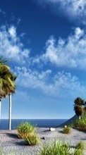 Lade kostenlos Hintergrundbilder Landschaft,Sky,Palms für Handy oder Tablet herunter.