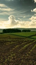 Landschaft,Natur,Grass,Felder,Sky für Sony Xperia Z1 Compact