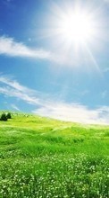 Lade kostenlos Hintergrundbilder Landschaft,Grass,Sky,Sun für Handy oder Tablet herunter.