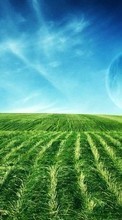 Lade kostenlos 720x1280 Hintergrundbilder Landschaft,Grass,Sky für Handy oder Tablet herunter.