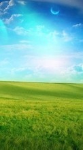 Lade kostenlos 320x480 Hintergrundbilder Landschaft,Grass,Sky für Handy oder Tablet herunter.
