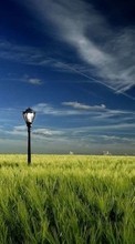 Landschaft,Grass,Sky für Nokia 108