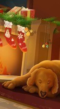 Feiertage,Hunde,Neujahr,Weihnachten,Bilder für HTC Desire 700