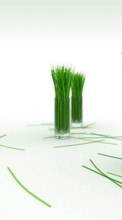 Geschirr,Grass,Objekte für Samsung Galaxy S3 mini