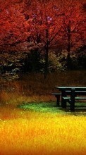 Lade kostenlos Hintergrundbilder Objekte,Herbst,Landschaft für Handy oder Tablet herunter.