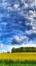 Clouds,Landschaft,Felder für LG K10 K420N