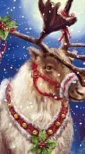 Feiertage,Tiere,Schnee,Weihnachten,Wild,Bilder für Samsung Galaxy Star