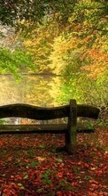 Lade kostenlos Hintergrundbilder Herbst,Landschaft für Handy oder Tablet herunter.