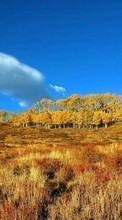Lade kostenlos Hintergrundbilder Landschaft,Grass,Felder,Herbst für Handy oder Tablet herunter.