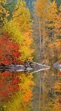 Herbst,Landschaft,Natur für Apple iPod touch 5g