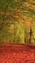 Lade kostenlos Hintergrundbilder Herbst,Landschaft,Natur für Handy oder Tablet herunter.