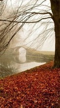 Lade kostenlos Hintergrundbilder Herbst,Landschaft,Natur für Handy oder Tablet herunter.