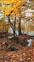 Herbst,Landschaft,Natur für HTC Desire