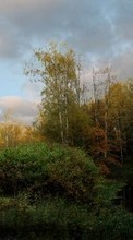 Lade kostenlos Hintergrundbilder Herbst,Landschaft,Flüsse für Handy oder Tablet herunter.