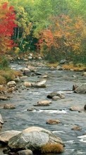 Herbst,Landschaft,Flüsse für Samsung Galaxy Beam