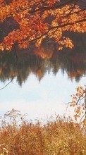 Lade kostenlos 320x240 Hintergrundbilder Landschaft,Flüsse,Herbst für Handy oder Tablet herunter.