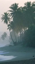 Lade kostenlos Hintergrundbilder Landschaft,Waves,Strand,Palms für Handy oder Tablet herunter.