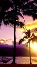 Lade kostenlos Hintergrundbilder Palms,Landschaft,Strand,Sunset für Handy oder Tablet herunter.