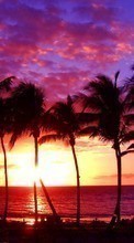 Lade kostenlos Hintergrundbilder Landschaft,Sunset,Sun,Palms für Handy oder Tablet herunter.