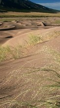 Lade kostenlos Hintergrundbilder Landschaft,Grass,Sand,Wüste für Handy oder Tablet herunter.